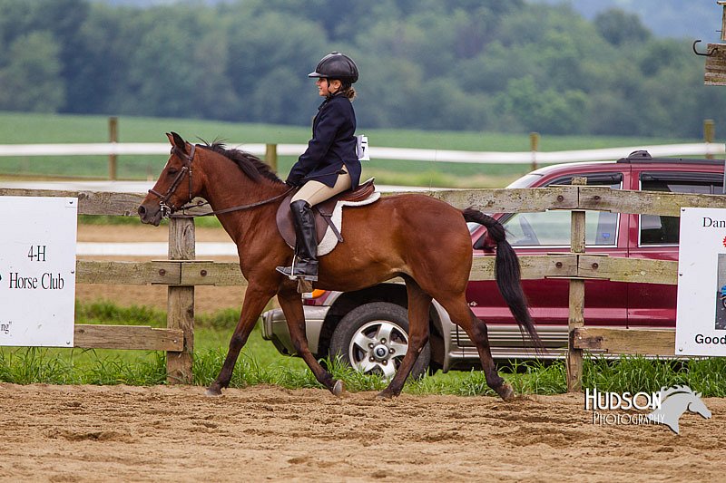 4H-2nd--072813-2136.jpg