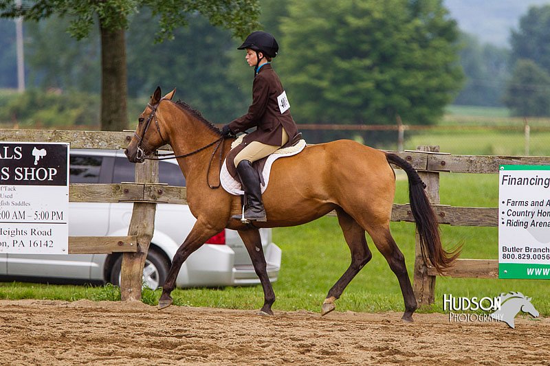 4H-2nd--072813-2138.jpg