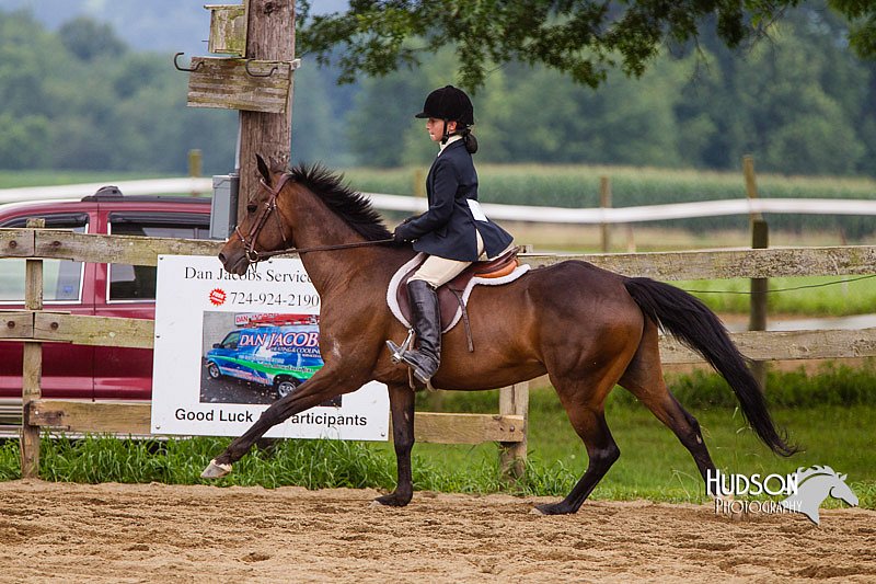 4H-2nd--072813-2139.jpg
