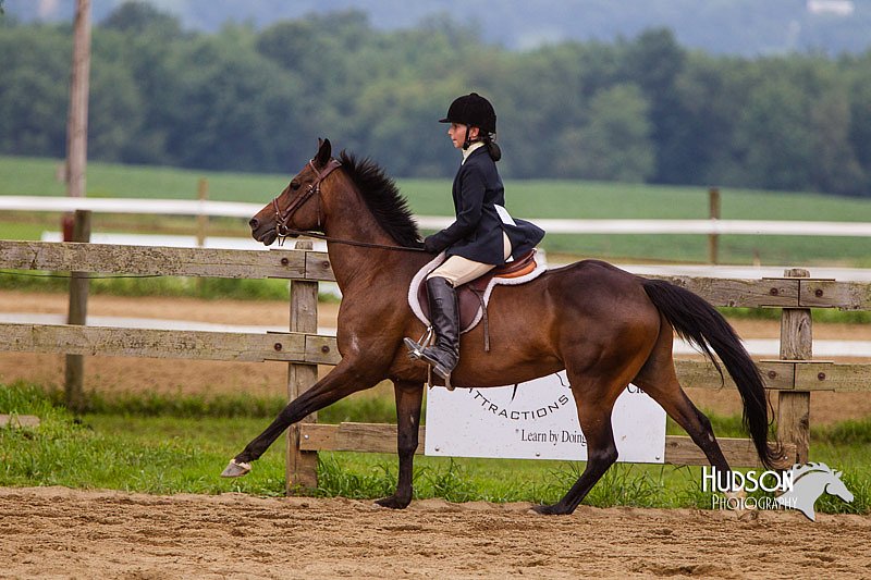 4H-2nd--072813-2140.jpg