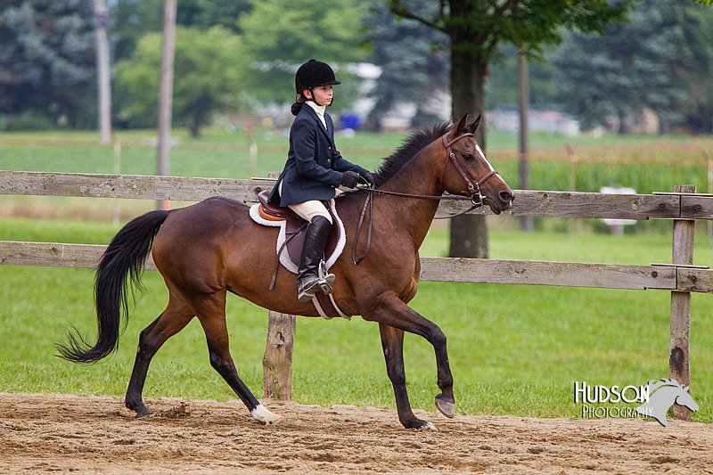 4H-2nd--072813-2141.jpg