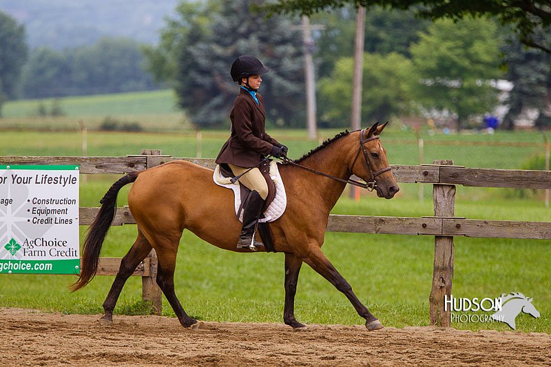 4H-2nd--072813-2143.jpg