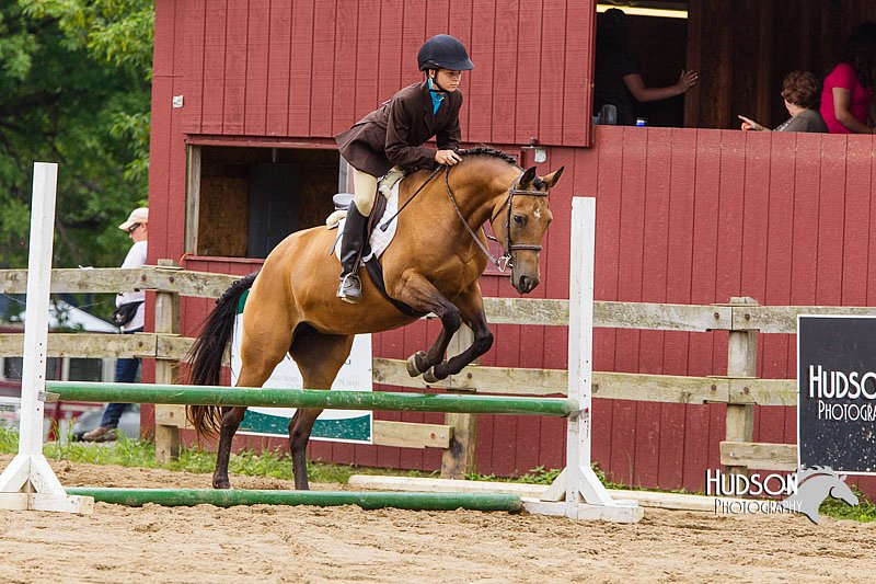 4H-2nd--072813-2082.jpg