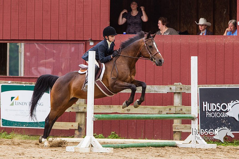 4H-2nd--072813-2087.jpg