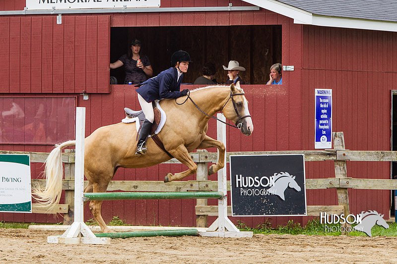 4H-2nd--072813-2090.jpg