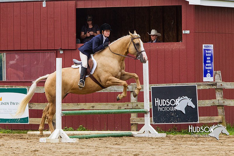 4H-2nd--072813-2094.jpg