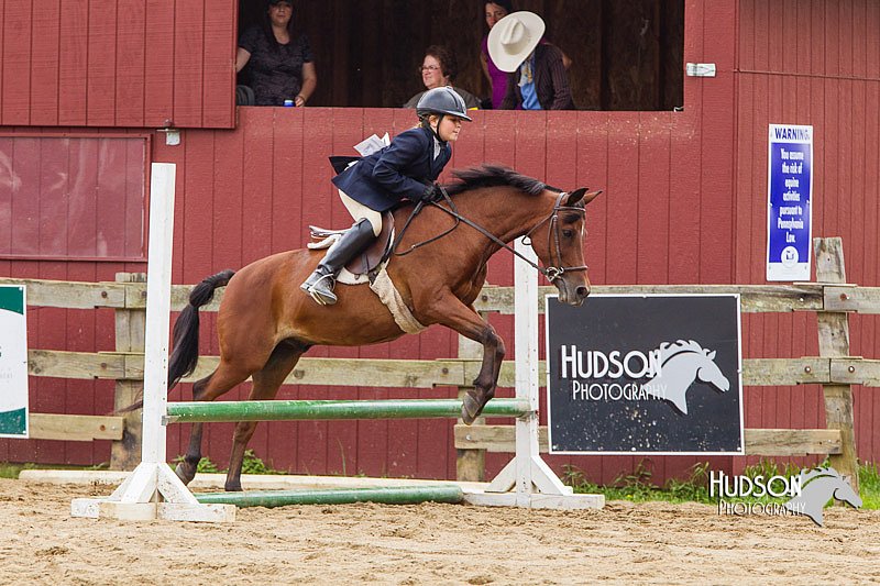 4H-2nd--072813-2098.jpg