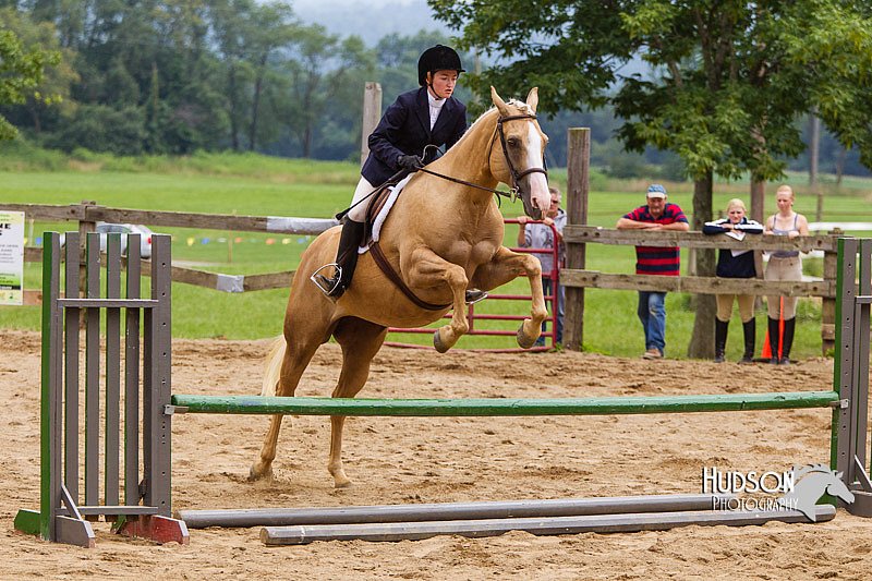 4H-2nd--072813-2165.jpg