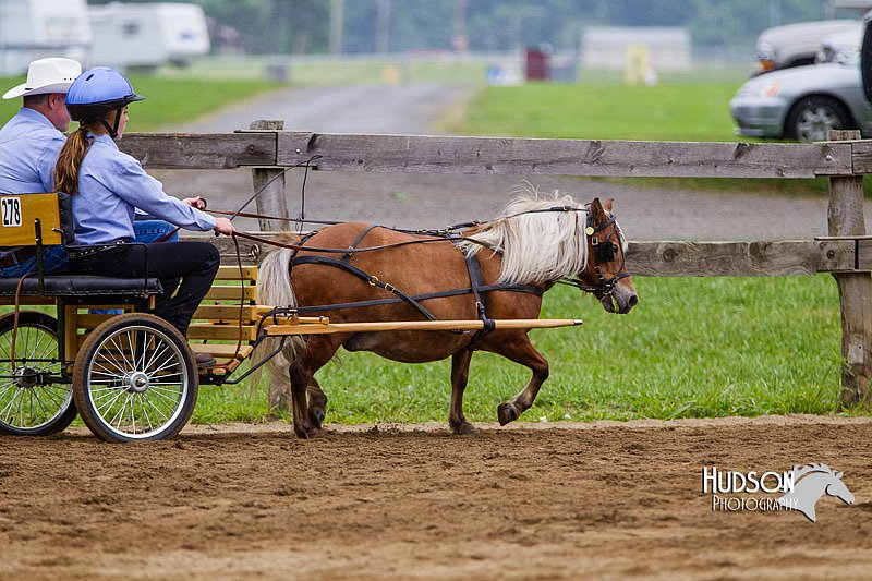 4H-2nd--072813-1397.jpg