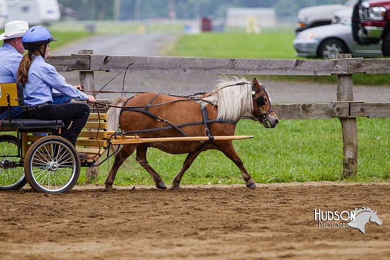 4H-2nd--072813-1398.jpg