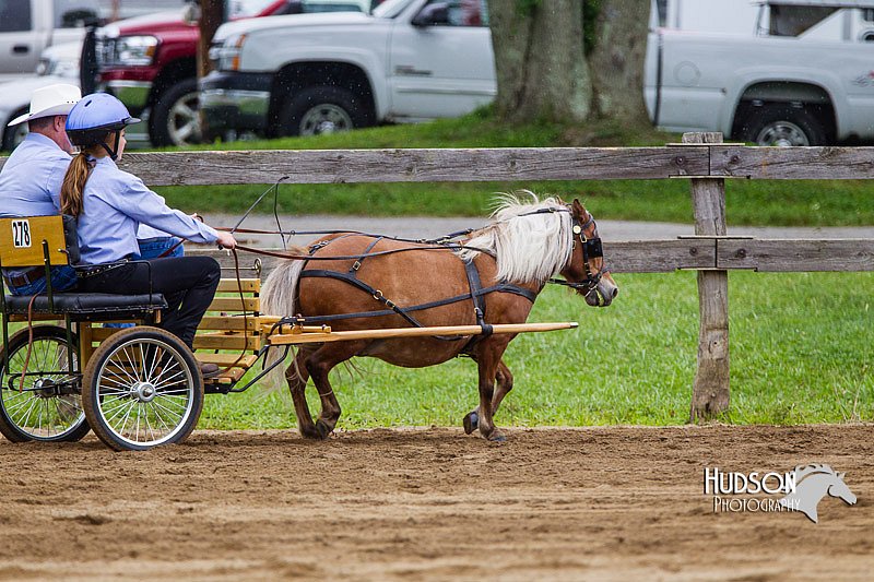 4H-2nd--072813-1399.jpg