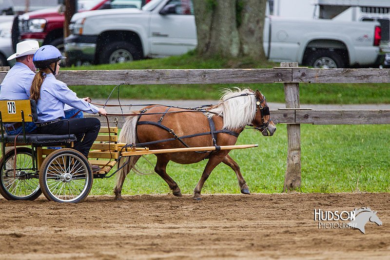 4H-2nd--072813-1400.jpg