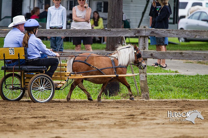 4H-2nd--072813-1401.jpg