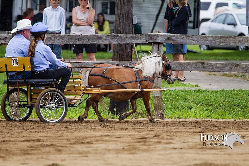 4H-2nd--072813-1402.jpg