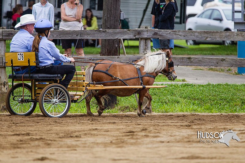 4H-2nd--072813-1403.jpg
