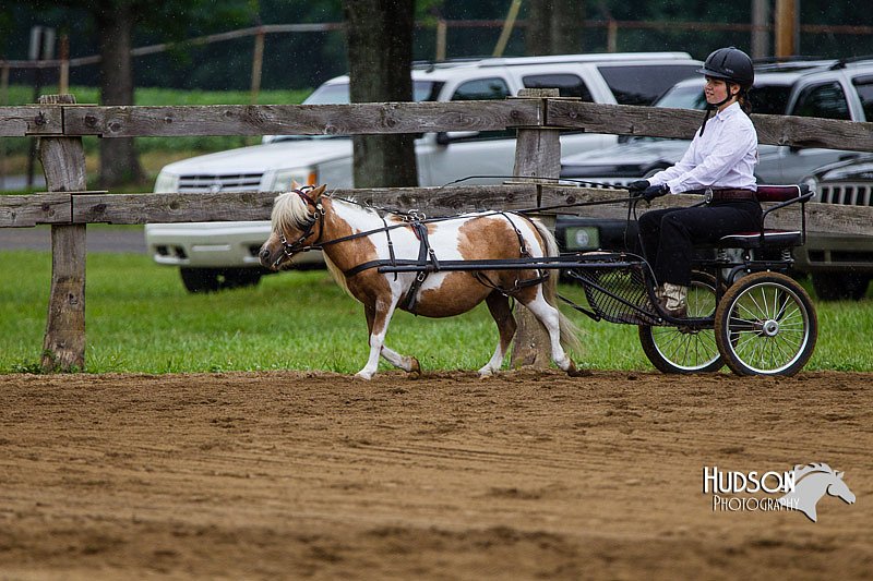 4H-2nd--072813-1426.jpg