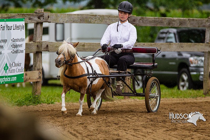 4H-2nd--072813-1430.jpg
