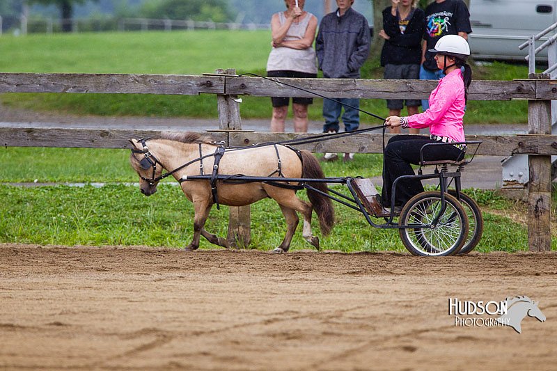 4H-2nd--072813-1431.jpg