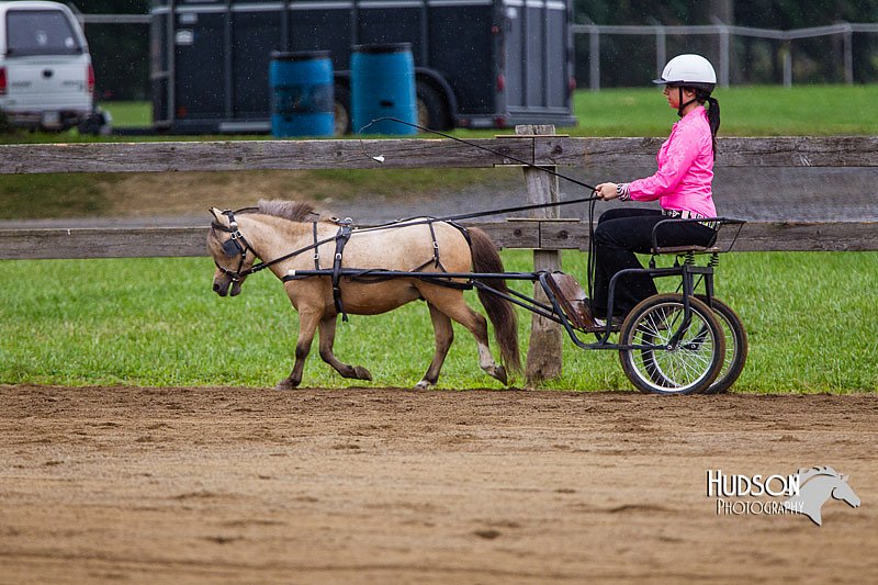 4H-2nd--072813-1433.jpg