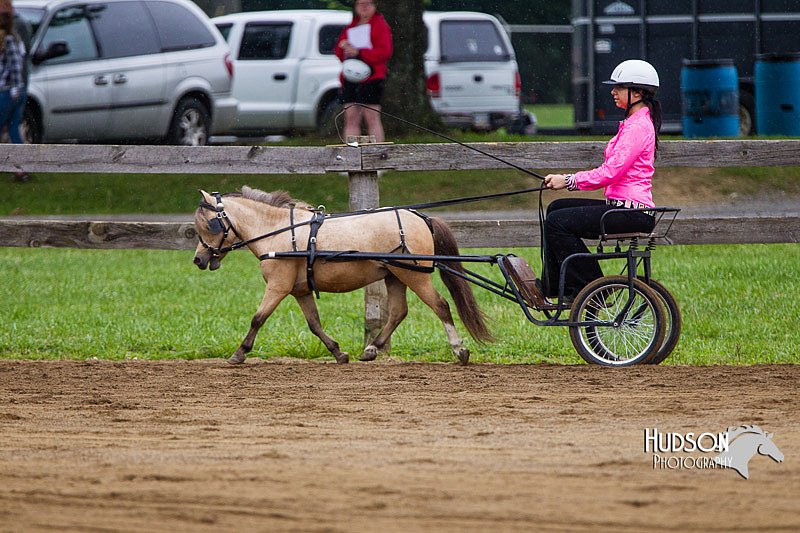 4H-2nd--072813-1434.jpg
