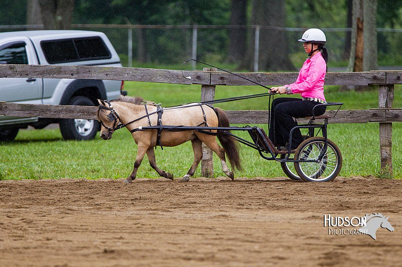 4H-2nd--072813-1436.jpg