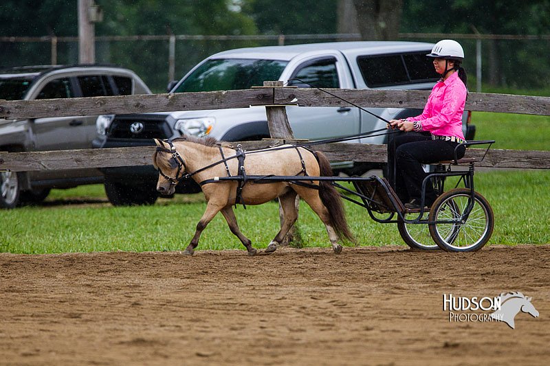 4H-2nd--072813-1437.jpg