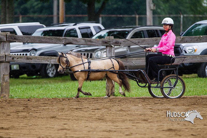 4H-2nd--072813-1438.jpg