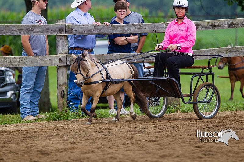 4H-2nd--072813-1439.jpg