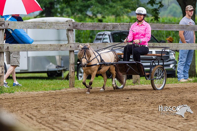 4H-2nd--072813-1440.jpg