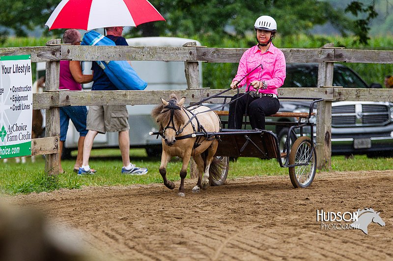 4H-2nd--072813-1441.jpg