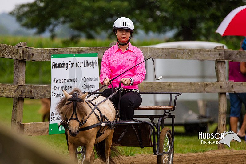 4H-2nd--072813-1442.jpg
