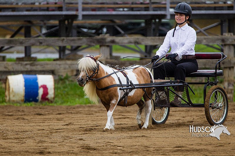 4H-2nd--072813-1444.jpg