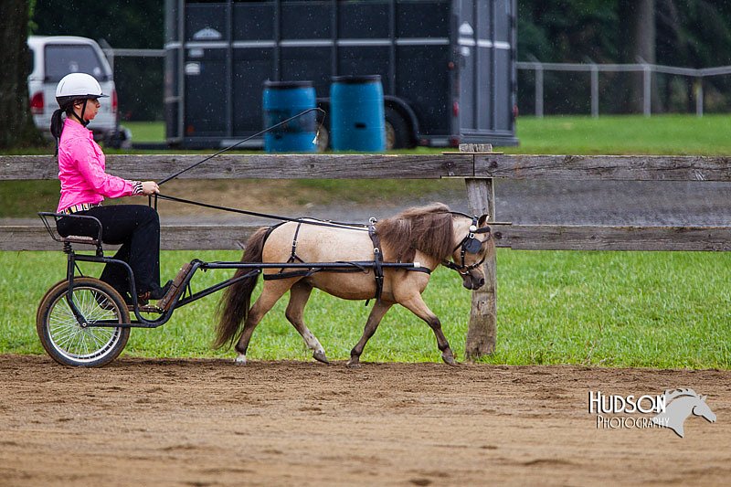 4H-2nd--072813-1451.jpg