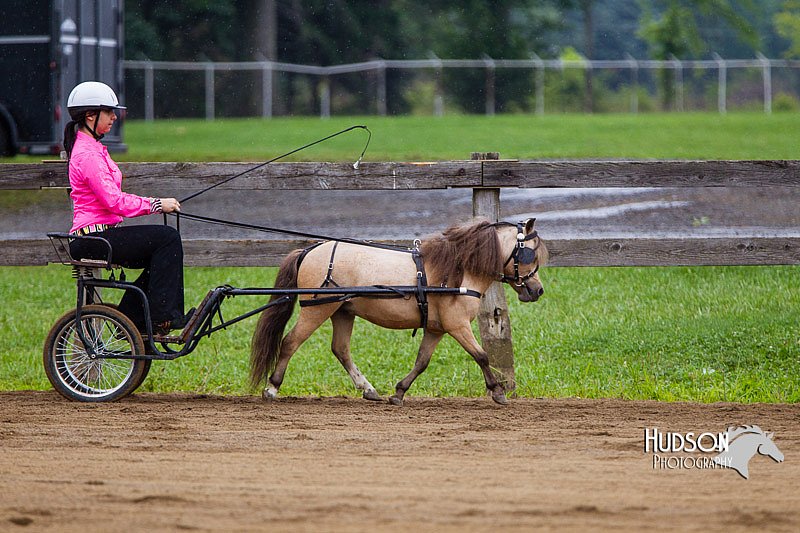 4H-2nd--072813-1452.jpg