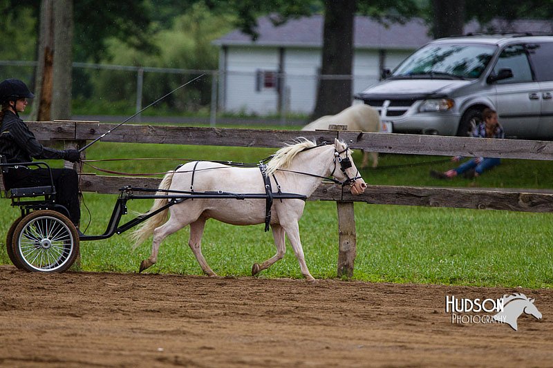 4H-2nd--072813-1453.jpg
