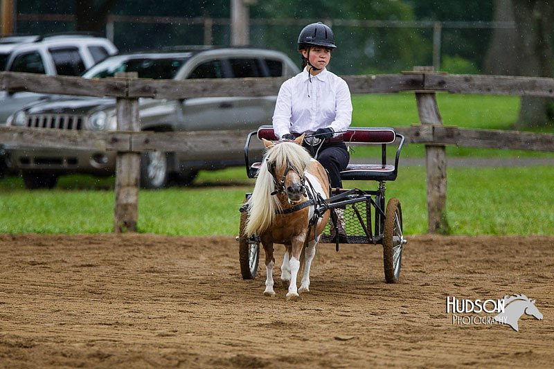 4H-2nd--072813-1456.jpg