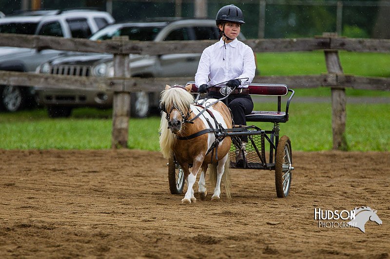 4H-2nd--072813-1457.jpg