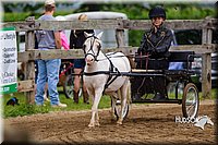 4H-2nd--072813-1410.jpg