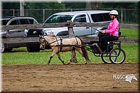 4H-2nd--072813-1437.jpg