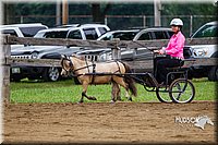 4H-2nd--072813-1438.jpg