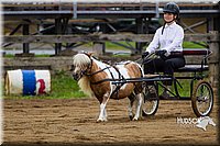 4H-2nd--072813-1444.jpg