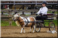 4H-2nd--072813-1445.jpg