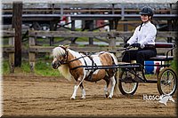 4H-2nd--072813-1446.jpg