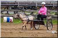 4H-2nd--072813-1447.jpg