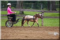 4H-2nd--072813-1450.jpg