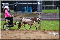 4H-2nd--072813-1451.jpg