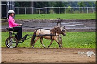 4H-2nd--072813-1452.jpg