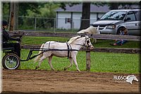 4H-2nd--072813-1453.jpg