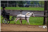 4H-2nd--072813-1454.jpg