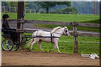 4H-2nd--072813-1455.jpg
